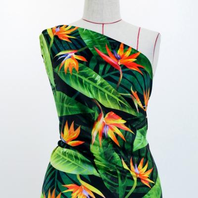 Hula Fabric / Strelitzia / JKH-650-BK