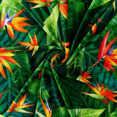 Hula Fabric / Strelitzia / JKH-650-GR