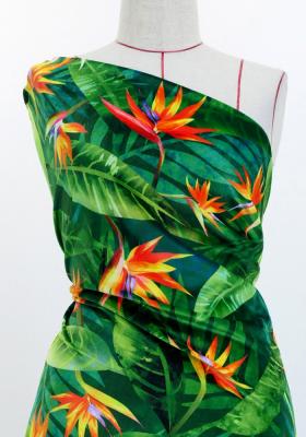 Hula Fabric / Strelitzia / JKH-650-GR