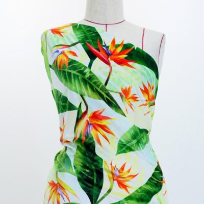 Hula Fabric / Strelitzia / JKH-650-WH