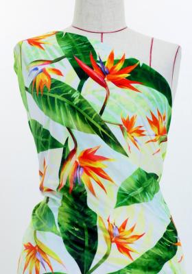 Hula Fabric / Strelitzia / JKH-650-WH