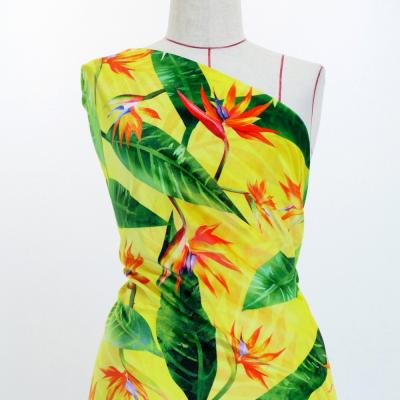 Hula Fabric / Strelitzia / JKH-650-YE