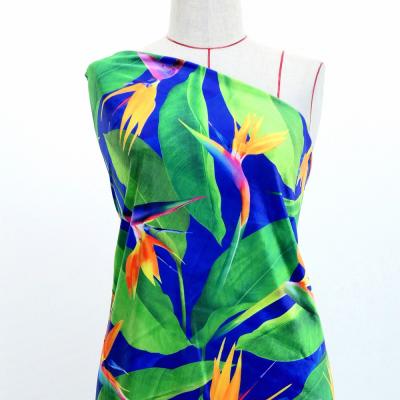 Hula Fabric / Bird of Paradise / JKH-668-BL