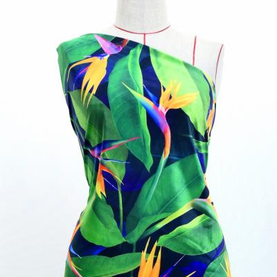 Hula Fabric / Bird of Paradise / JKH-668-DBL