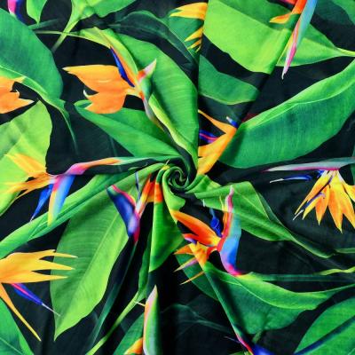 Hula Fabric / Bird of Paradise / JKH-668-DGR