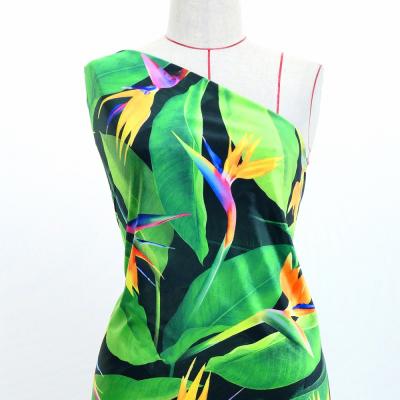 Hula Fabric / Bird of Paradise / JKH-668-DGR