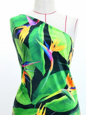 Hula Fabric / Bird of Paradise / JKH-668-DGR