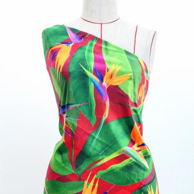 Hula Fabric / Bird of Paradise / JKH-668-RD