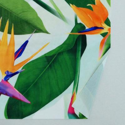 Hula Fabric / Bird of Paradise / JKH-668-WH