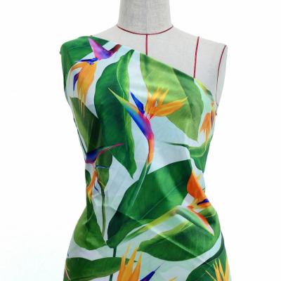 Hula Fabric / Bird of Paradise / JKH-668-WH