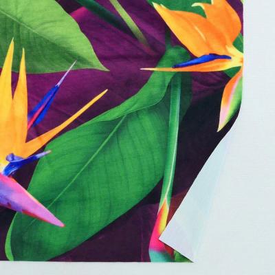 Hula Fabric / Bird of Paradise / JKH-668-WI