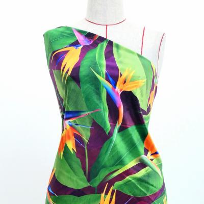 Hula Fabric / Bird of Paradise / JKH-668-WI