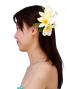 Hula Hair Clip / Pulumeria / White and Yellow / J1347wy