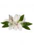 Hula Hair Clip / Pulumeria / Yellow and Pink / J1347ypi