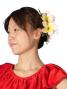 Hula Hair Clip / Pulumeria / Yellow and Pink / J1347ypi