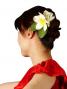 Hula Hair Clip / Pulumeria / Yellow and White / J1348w