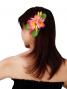 Hula Hair Clip / Pulumeria / Yellow and Pink / J1348ypi