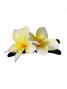 Hula Hair Clip / Pulumeria / White and Yellow / J1349w