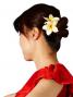 Hula Hair Clip / Pulumeria / White and Yellow / J1349w