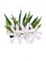 Hula Hair Clip / Tiare and Leaf / White and Light Green / J1590