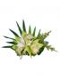 Hula Hair Clip / Cymbidium / White and Light Green / J1591