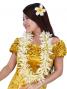 Hula Long Lei / Spider Lily / White / J1995w