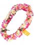 Hula Lei / Kapiolani / Pink and Cream / J1996pic