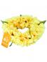 Hula Headband / Kapiolani / Yellow / J1997ye