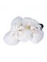 Hula Hair Clip / Tiare, Shell, and Pearl / White / J2050
