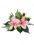 Hula Hair Clip / Pulumeria and Bird of Paradise / Coral Pink / J2051cp