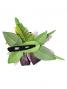 Hula Hair Clip / Lilly and Torch Ginger / Orange / J2052o