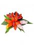 Hula Hair Clip / Lilly and Torch Ginger / Orange / J2052o