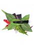 Hula Hair Clip / Lilly and Torch Ginger / Red / J2052wr
