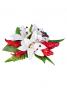 Hula Hair Clip / Lilly and Torch Ginger / Red / J2052wr