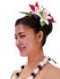 Hula Hair Clip / Lilly and Torch Ginger / Red / J2052wr