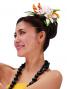 Hula Hair Clip / Lilly and Torch Ginger / Yellow / J2052wy