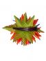 Hula Hair Clip / Bird of Paradise / J2134