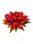 Hula Hair Clip / Bird of Paradise / J2134