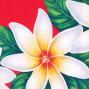 Hula Pa'u Skirt with Tiare Print / Red /G2272