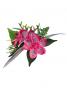 Hula Hair Clip / Plumeria / Red / J2290