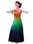 Hula One Shoulder Gradation Velvet Dress / Luxury Collection / Orange & Green / J2347orgr