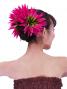 Hula Hair Clip / Bird of Paradise / Magenta and Green / J2441magr