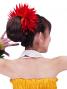 Hula Hair Clip / Bird of Paradise / Orange and Yellow / J2441orye