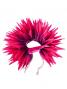 Hula Hair Clip / Bird of Paradise / Rose Red and Purple / J2441rdpu