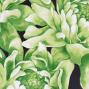 Hula Pa'u Skirt with Protea  Print / Green / G2456