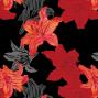 Hula Pareo / Black / J2477bk