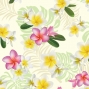 Hula Multi Way Plumeria Dress with Velvet / Luxury Collection / Cream / J2518cr