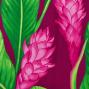 Hula Pa'u Skirt / Ginger / Fuchsia / J2564