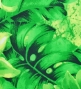 Hula Pa'u Skirt with Botanical Print / Green / G2636