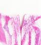 Hula Midi Dress with Tiare Print / Luxury Collection / Pink / J2688pi